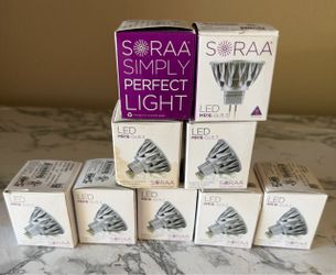 Light bulbs
