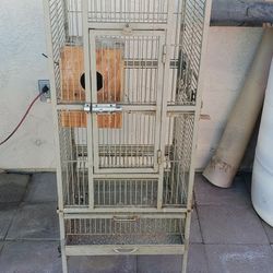 Bird Cages