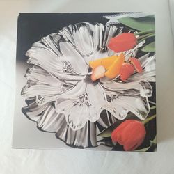 New Mikasa Tulips Satin 13.25" Crystal Serving Platter