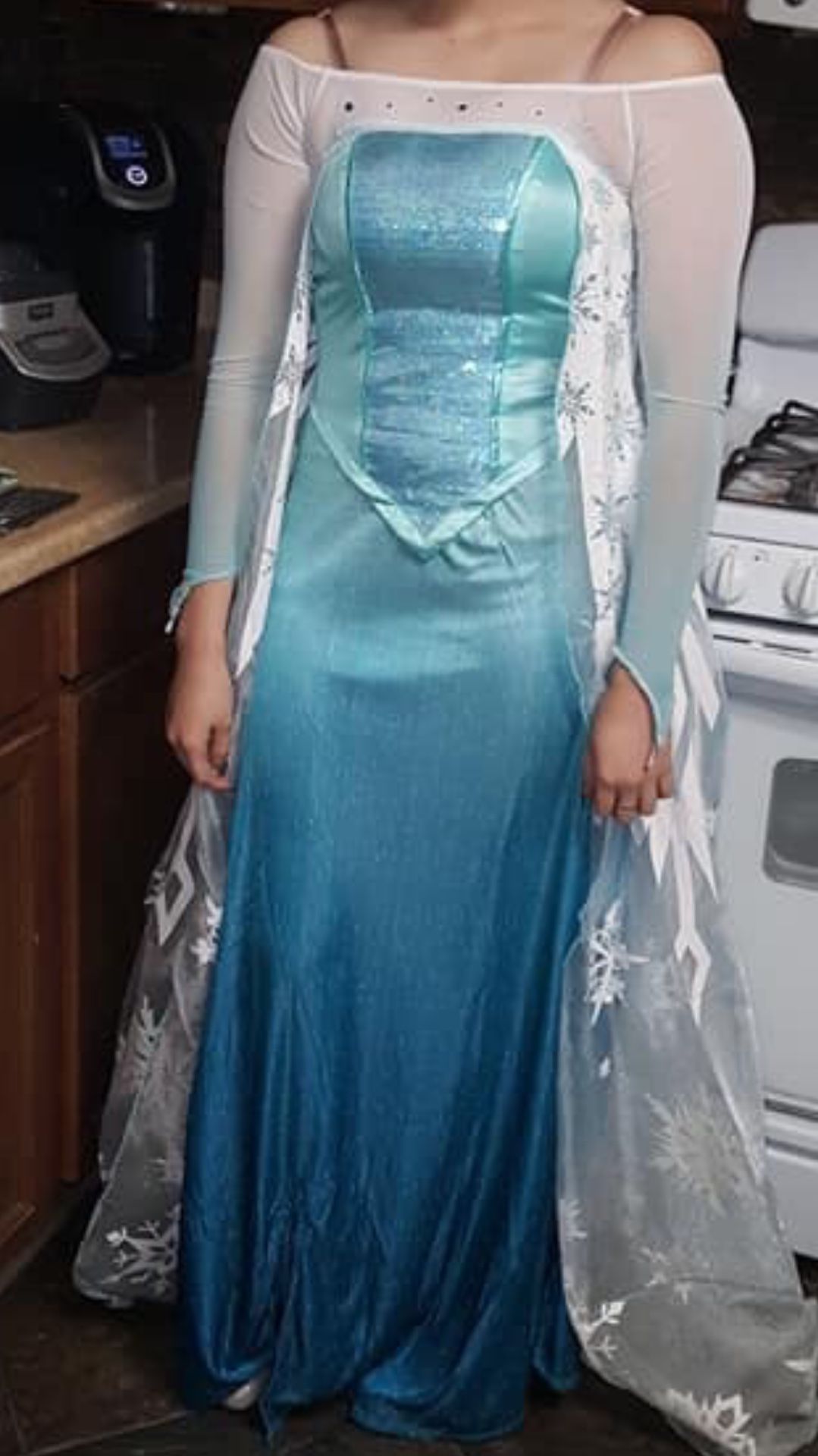 Frozen Elsa dress adult size