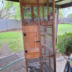 Bird Cage / Jaula