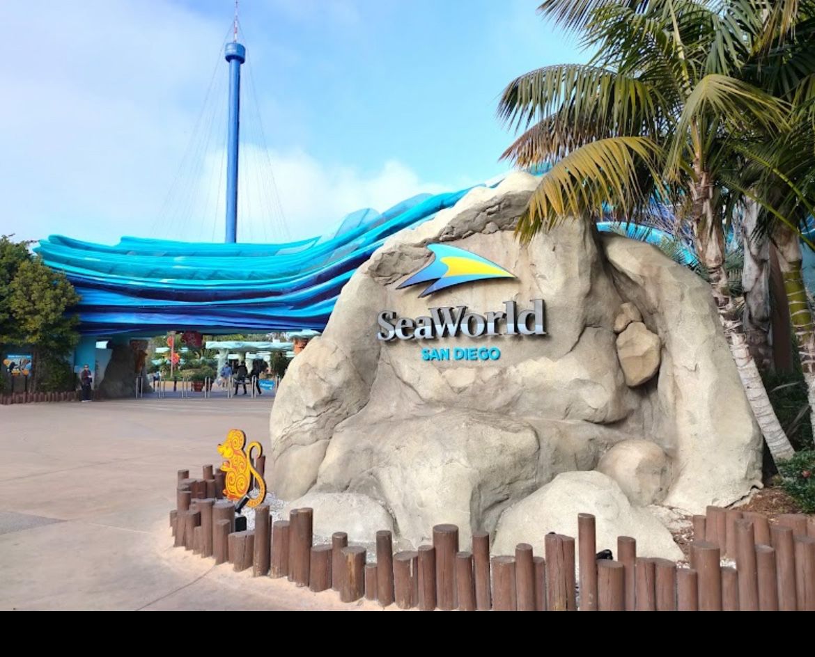 Tickets To Seaworld