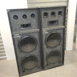 Digital PRO AUDIO Speakers In Working Conditions