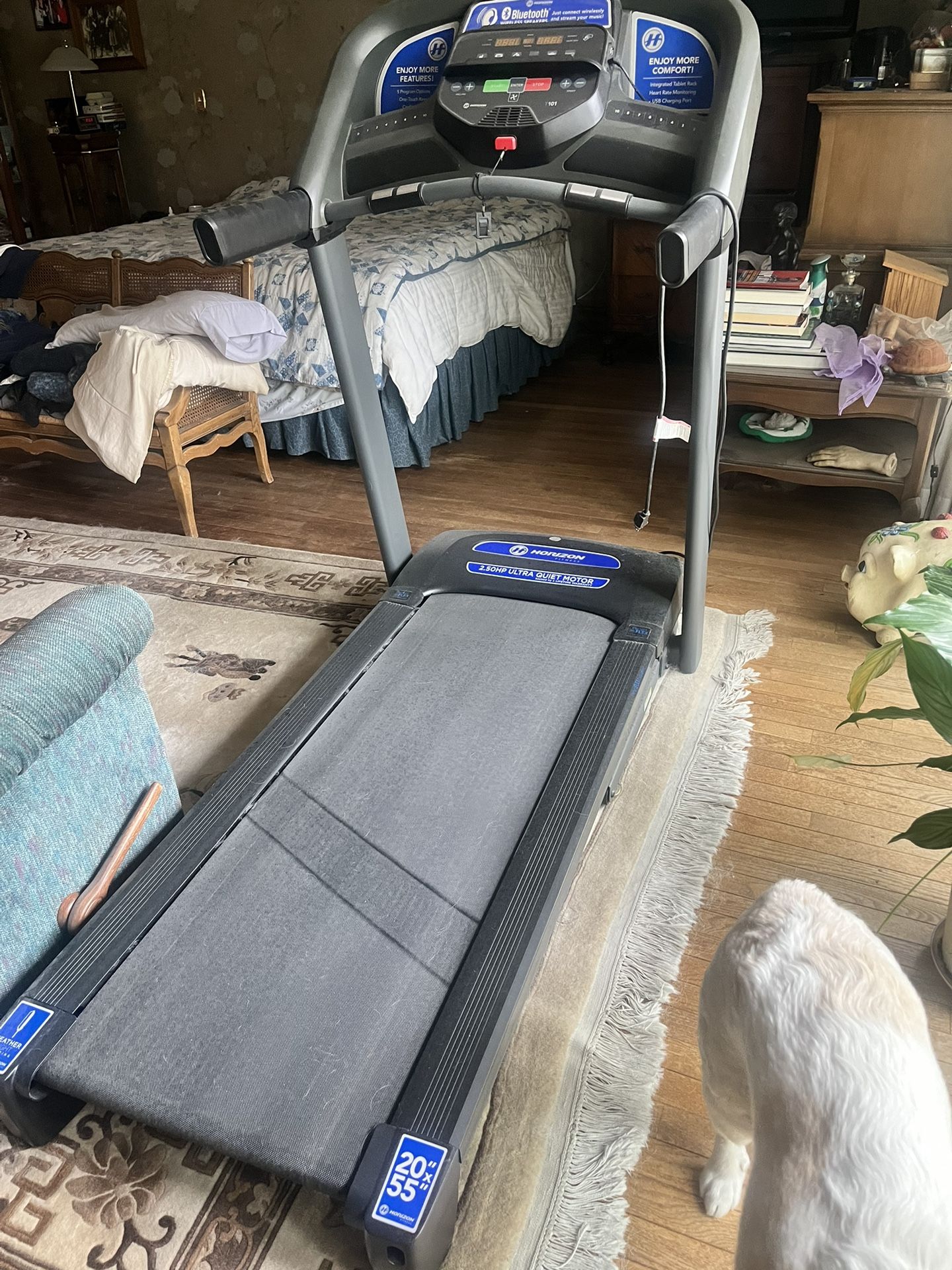 Horizon fitness T101 Treadmill With 2.0 Ultra Quiet Motor