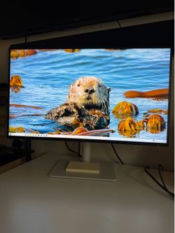 Dell Monitor 27”