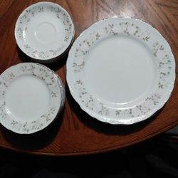 Very Nice Floral Designed Fine China Classic Set