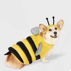 Bee Dog Costume 