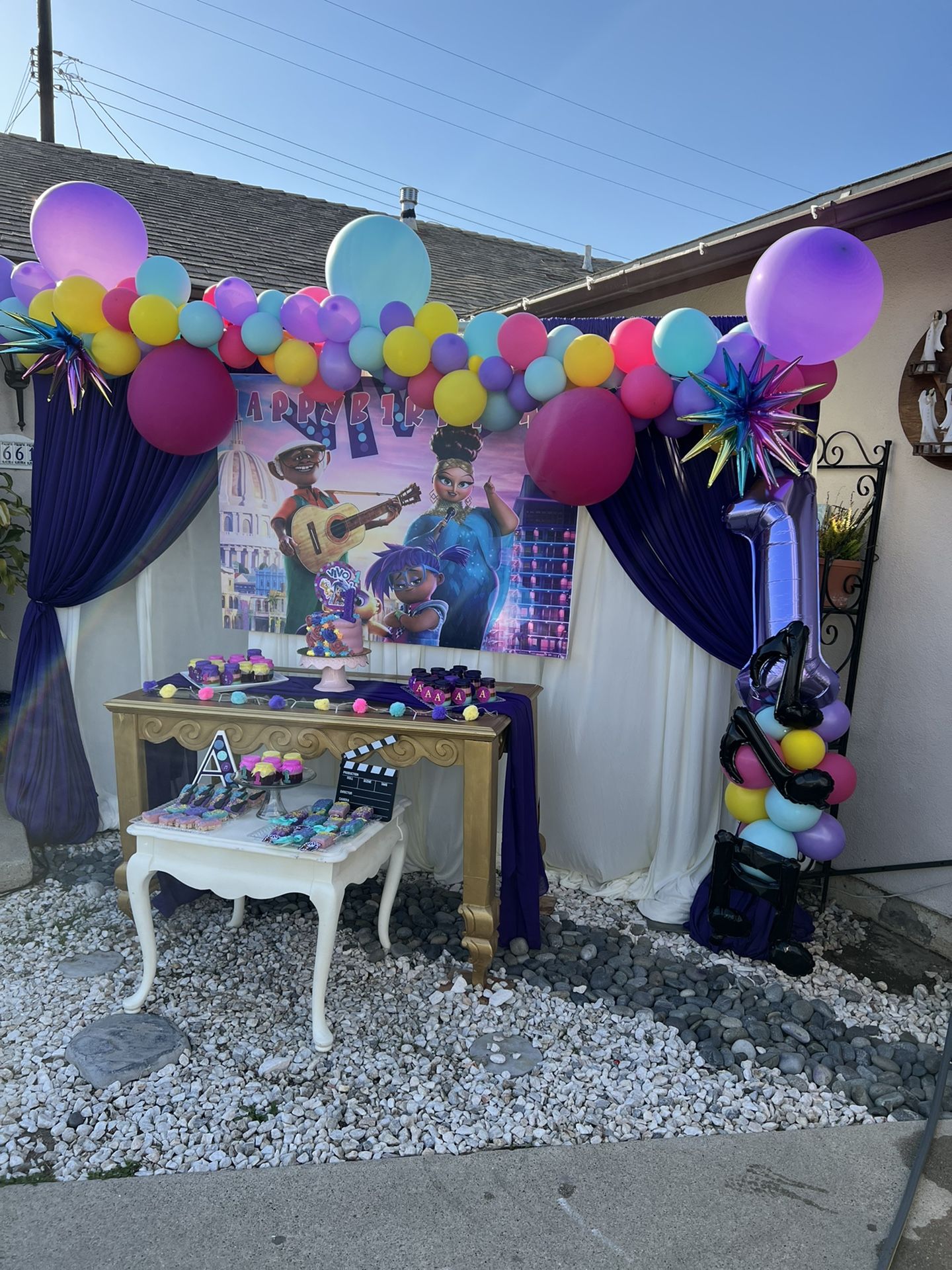 Vivo Netflix Movie Theme Birthday Party Supplies