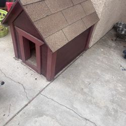 Dog House 