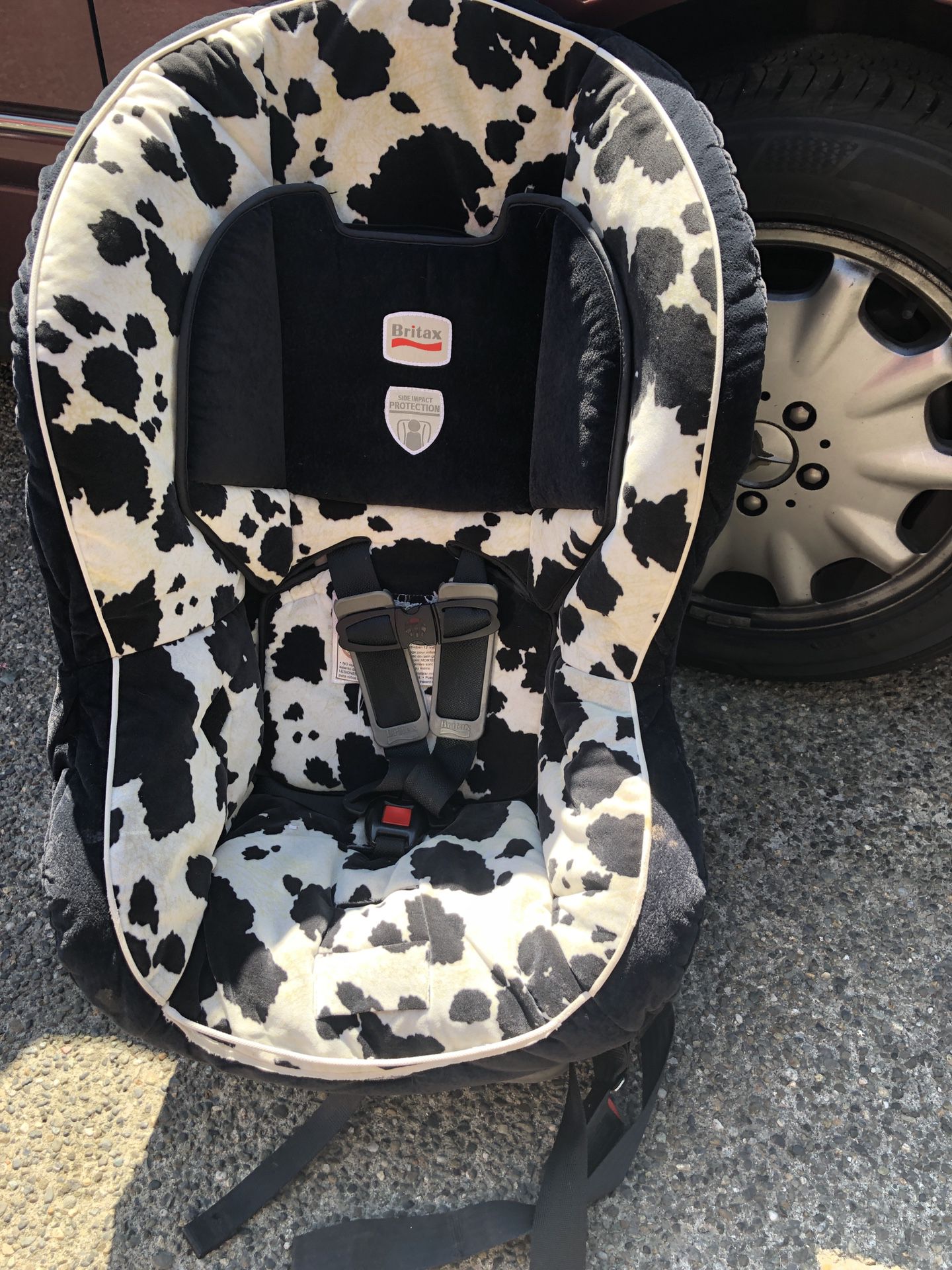 BRITAX COW CAR SEAT VERY SAFE QUALITY!!