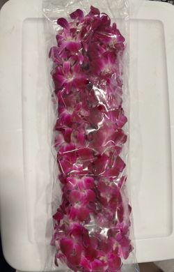 Graduation Lei