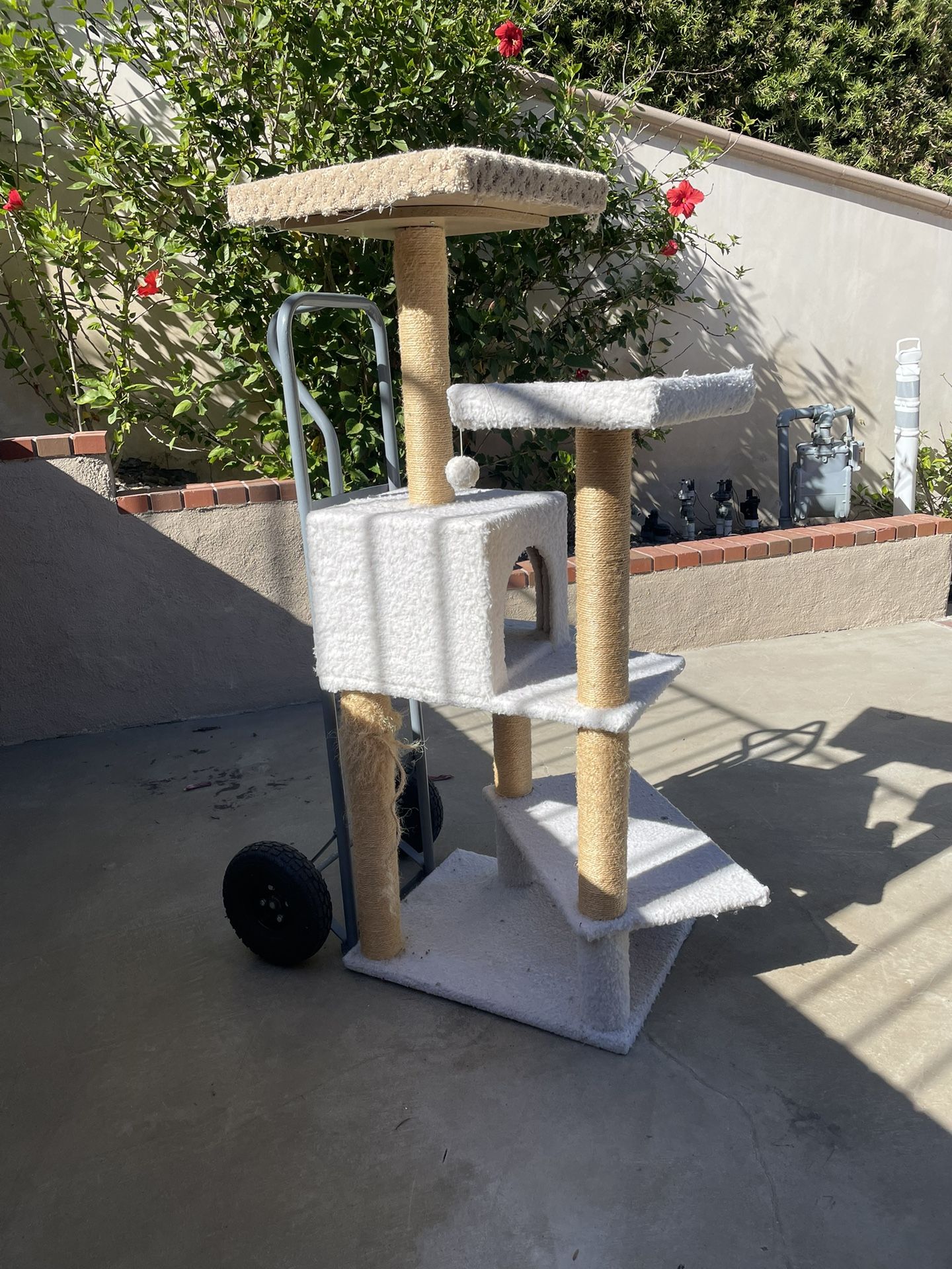 Free kitty Tower. Used,  60” Our Kitty Does Not Use It. We Had Another Cat That Loved It 