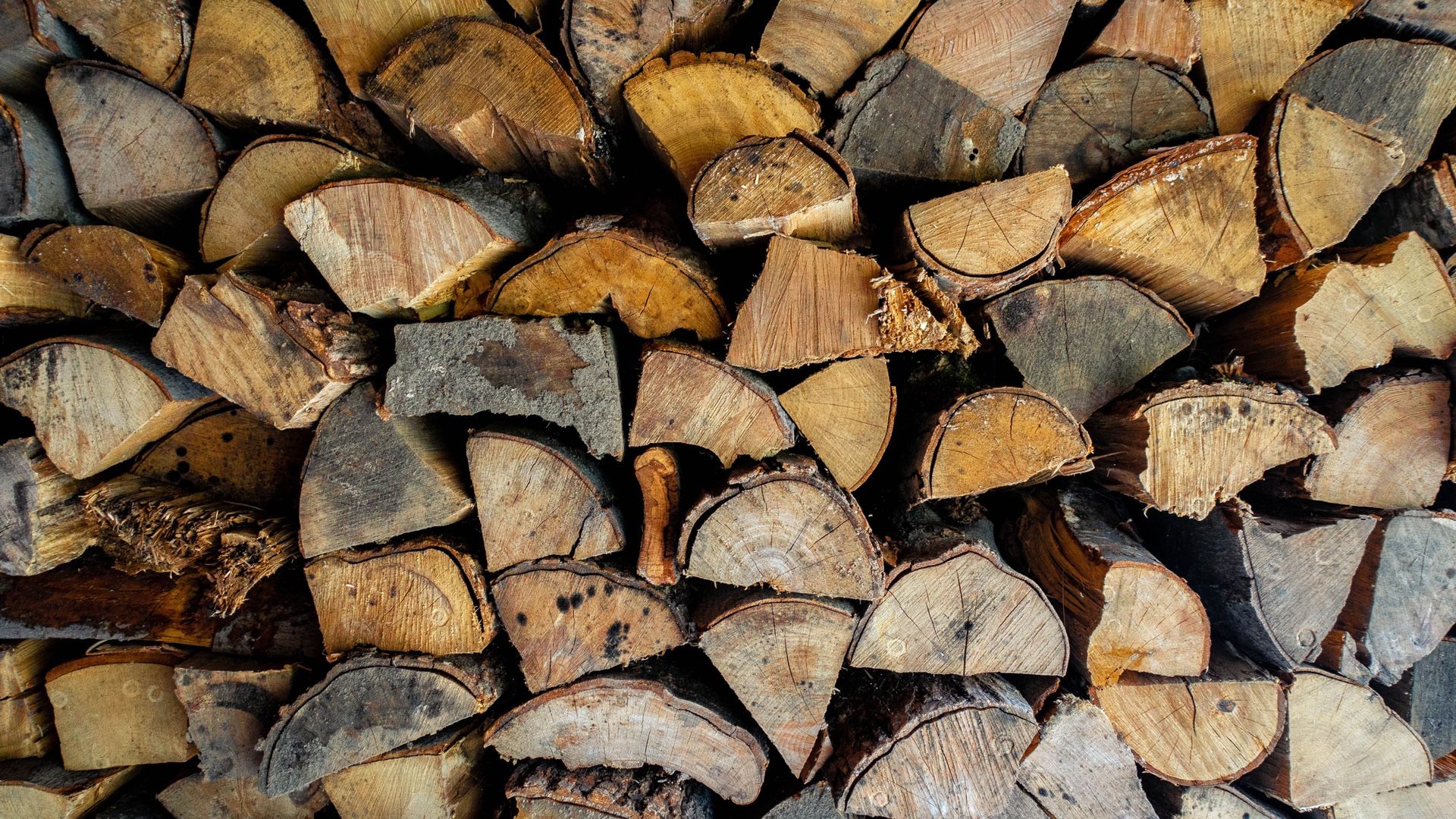 Firewood