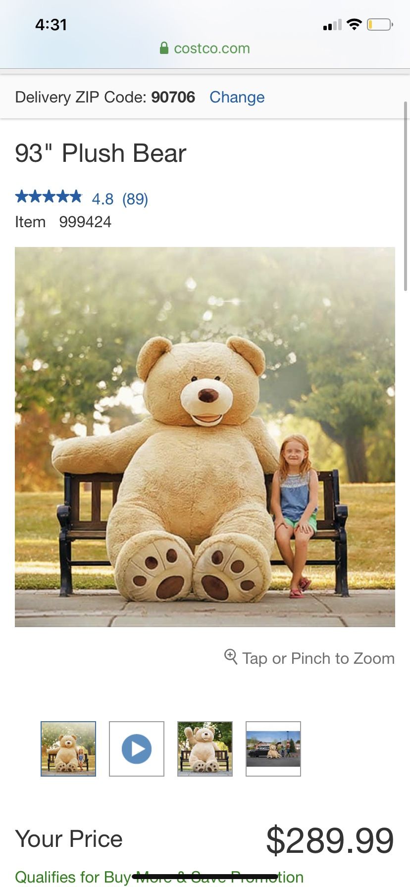 HUGE TEDDY BEAR