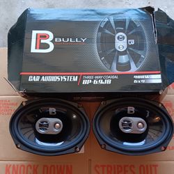 Bully 6.9 Speakers