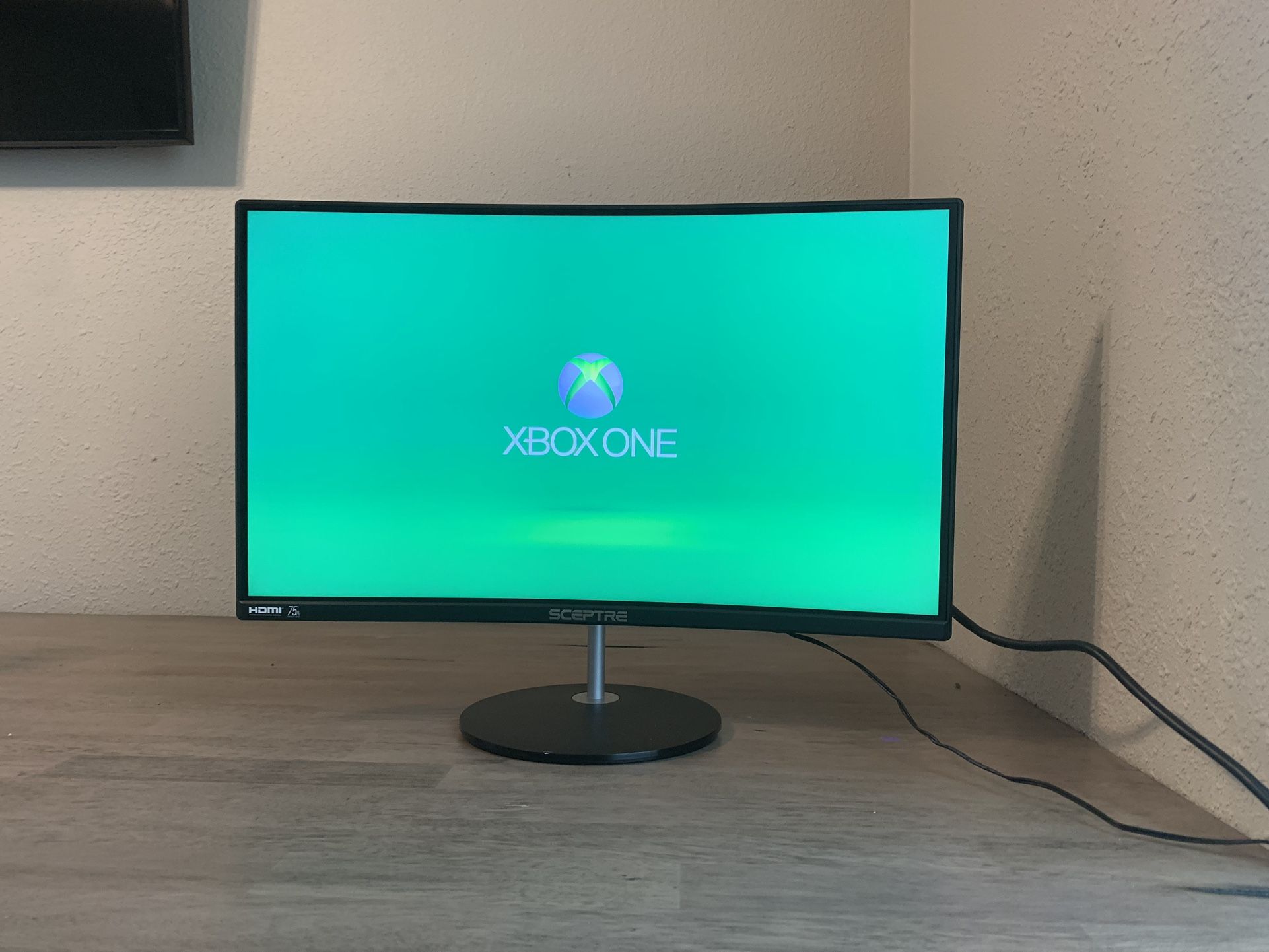 Sceptre 24 Inch Monitor Monitor Para Computadora