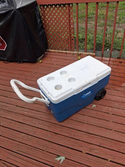 Cooler great condition