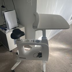 Flexispot Bicycle Desk  