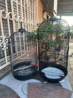 Bird cages