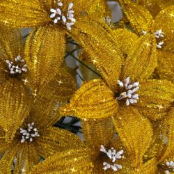 Flowers  $6 each 