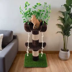 cat “tree”