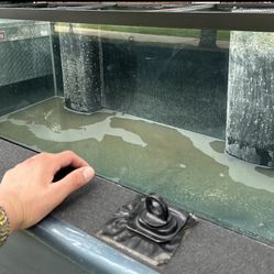 220 Gallon Fish tank