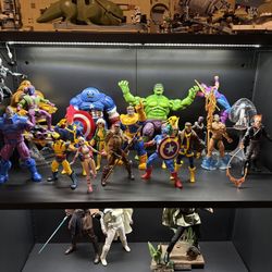 Marvel Legends, Star Wars Black Series, Mafex, Sh Figurarts