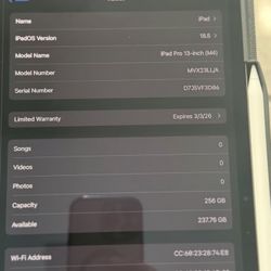 13” iPad Pro M4 (256GB, Wi-Fi) + Apple Pencil Pro – Mint Condition