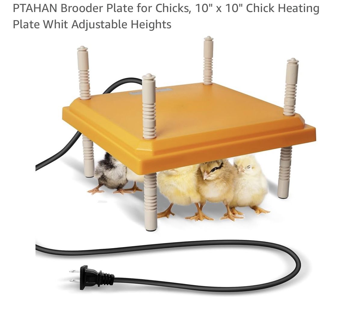 Chick Heating  Plate  Brooder 