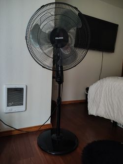 Fan