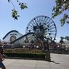 Cin