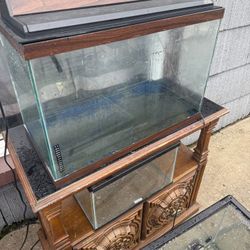 Different Fish Tanks