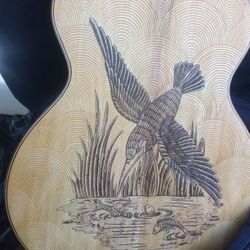 Blueberry Concert Acoustic Kingfisher Motif