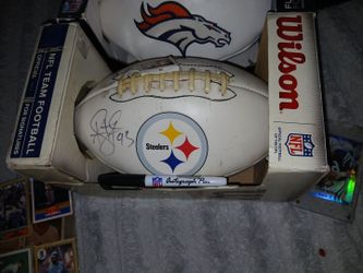 Troy Palomalu autographed Pittsburgh Steelers Signed NFL Football