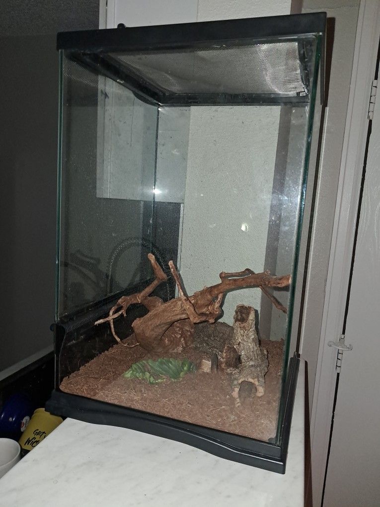 Reptile Aquarium