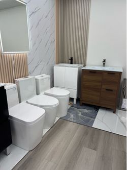 Toilet and Bathroom Vanity