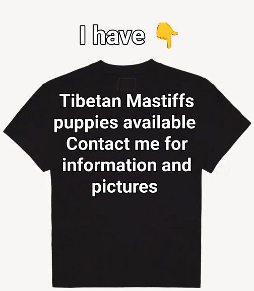 Tibetan Mastiff Puppies T Shirts