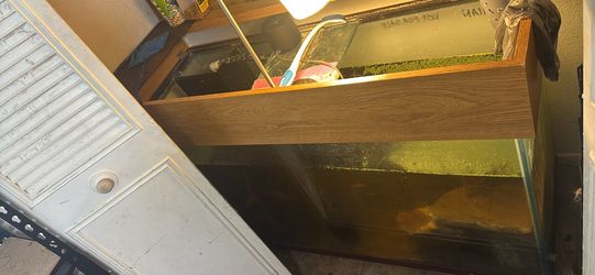 125 Gal Tank