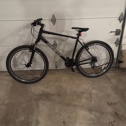 ATX GIANT Bicycle Large 