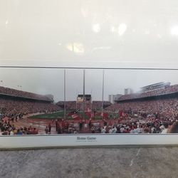 Ohio State print