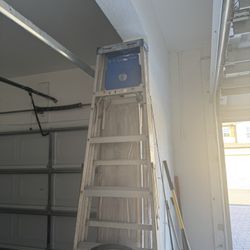 Werner Ladder 