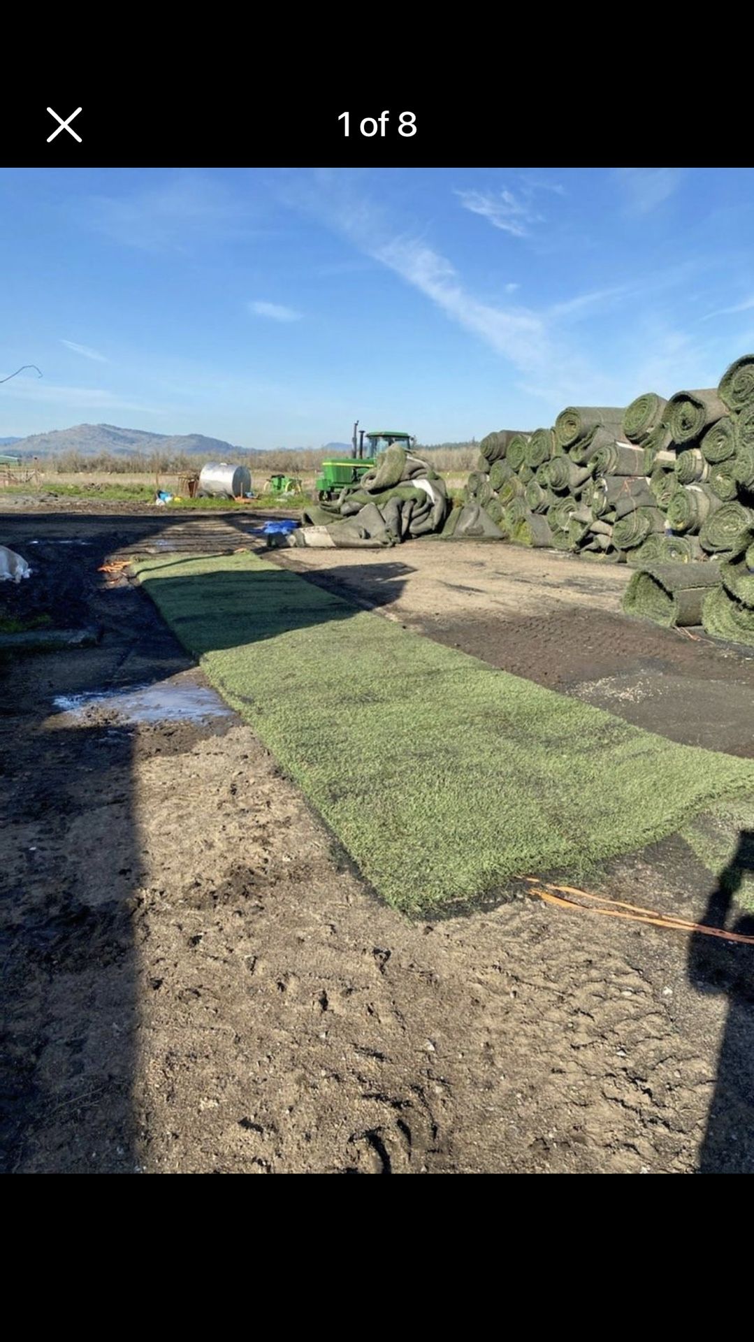 Artificial Grass