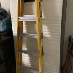 Dewalt Ladder