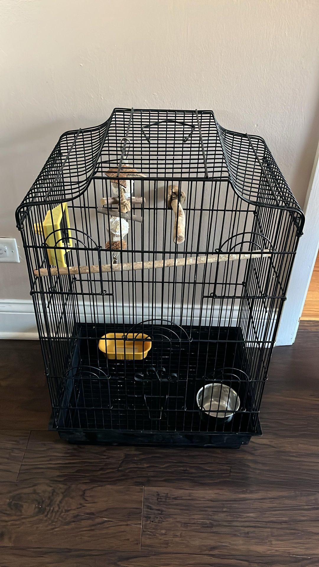 Bird Cage 