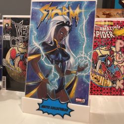 Storm #1 - Exclusive Variant