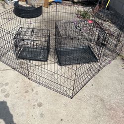 Two Dog Cage And Gate 