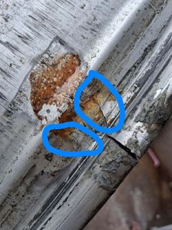 Cracked, Chipped, Bent Aluminum Rims