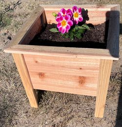 Raised cider wood planters