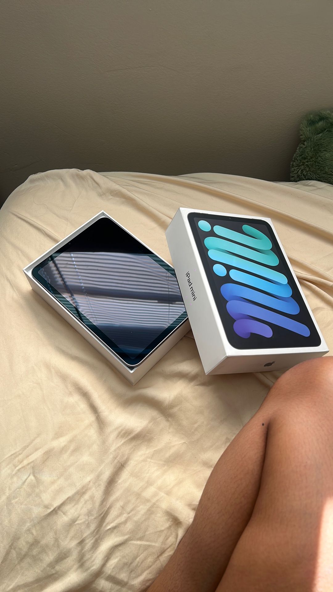 iPad Mini