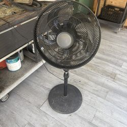 Osculating Fan.